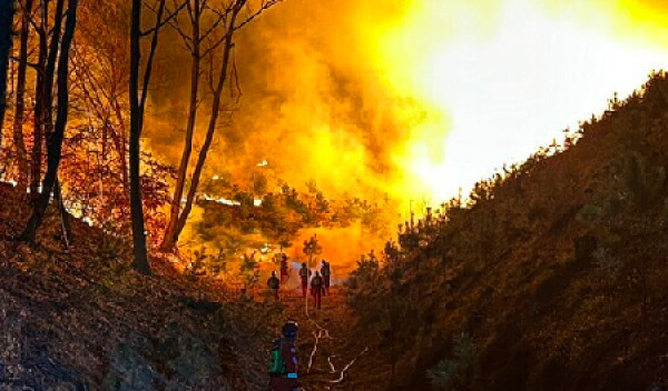 23년 04월 산불피해 재난지역 영주시를 도와주세요